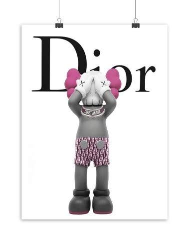 kaws dior